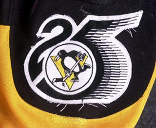 Pittsburgh store penguins patch